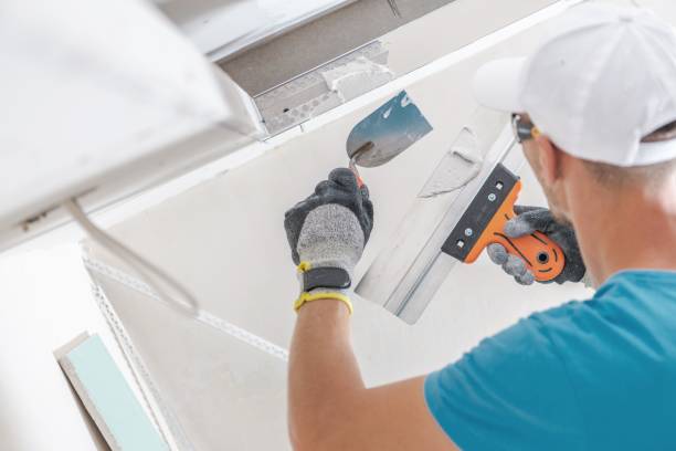 Best Drywall Removal and Disposal  in Bonny Doon, CA